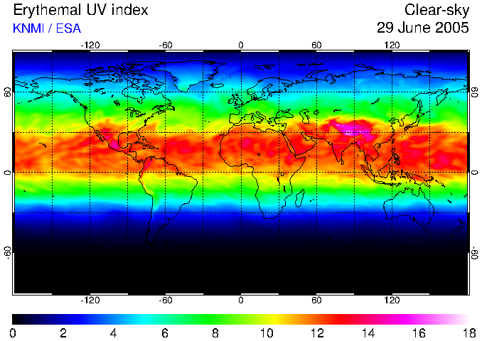  UV 2005 