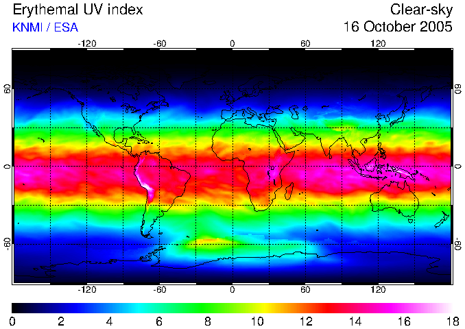  UV 2005 
