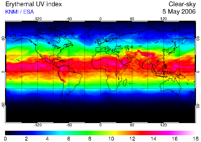 UV 2006