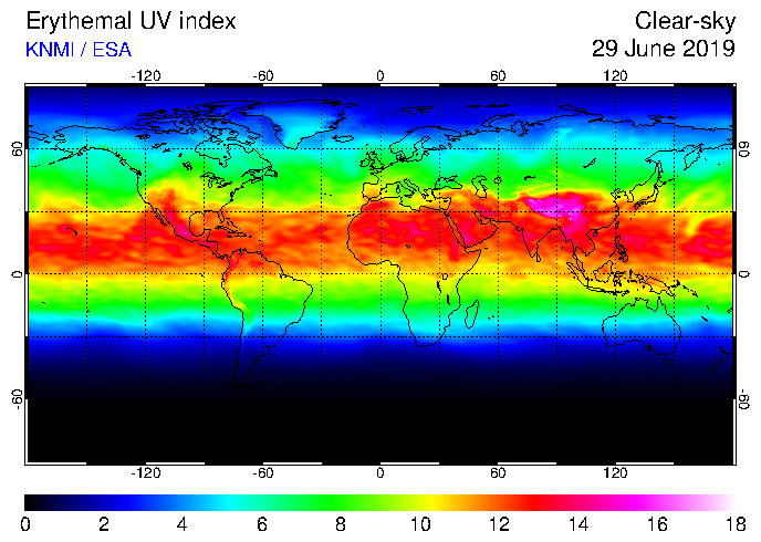 UV 2019
